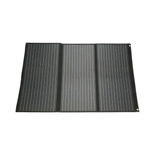 msfo 100